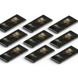 Google Pixel 6 Pro 11